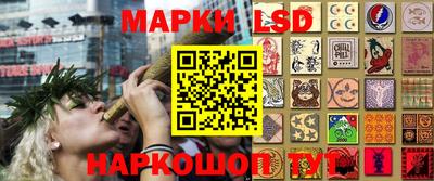 шишки Рыбинск