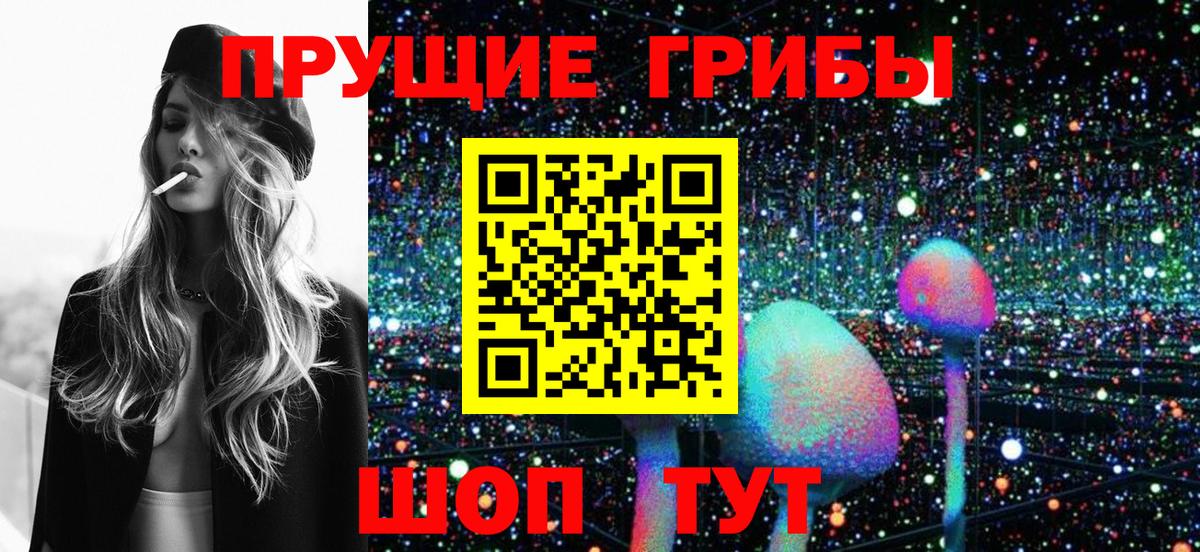 Псилоцибиновые грибы Psilocybine cubensis Можга