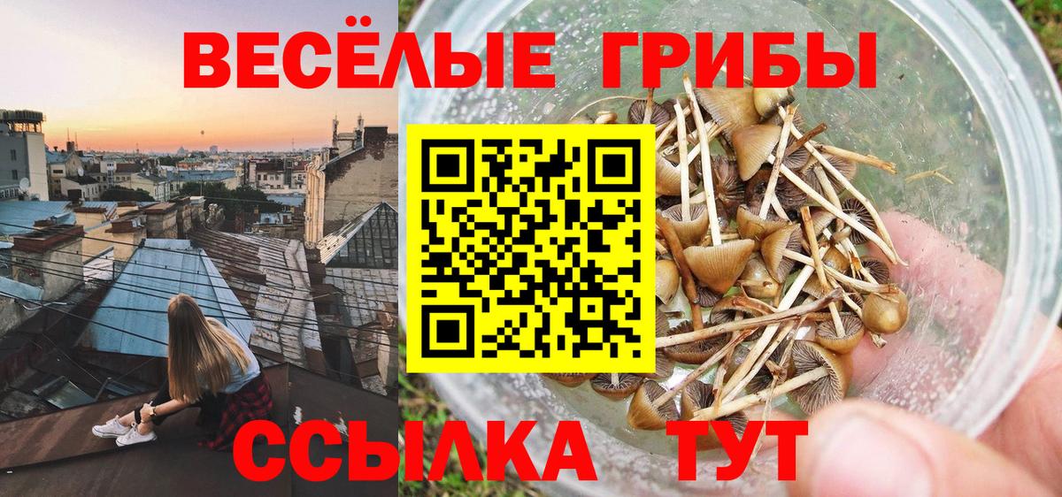 Псилоцибиновые грибы мухоморы  Вход с VPN  Можга  Псилоцибиновые грибы GOLDEN TEACHER 